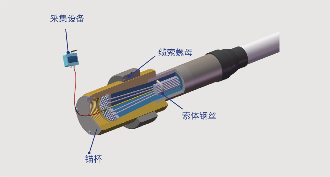 必发·bifa(中国集团)唯一官方网站